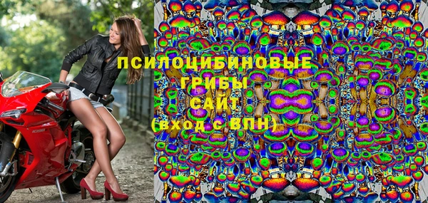 гашик Баксан