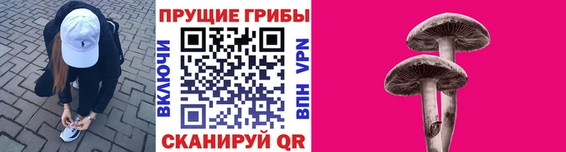 omg tor  Татарск  Галлюциногенные грибы прущие грибы 